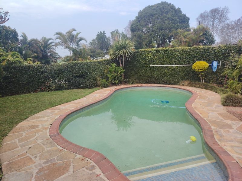 A private backyard swimming pool featuring stone coping, brick edging, and established garden hedges.