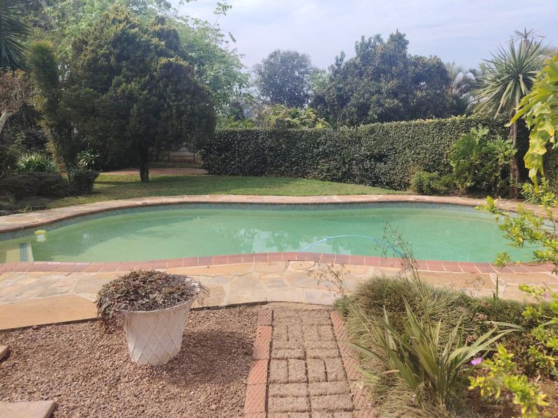 Outdoor pool area featuring a curved swimming pool with brick coping, stone paving, and established garden landscaping.