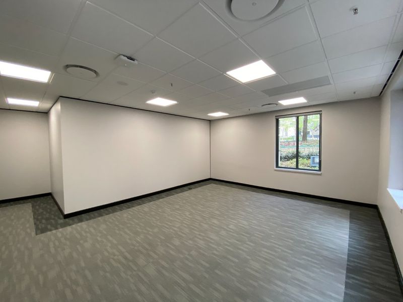 A clean, vacant commercial office space featuring modern suspended ceilings, recessed LED lighting, and neutral carpet tiles, ready for custom fit-out.