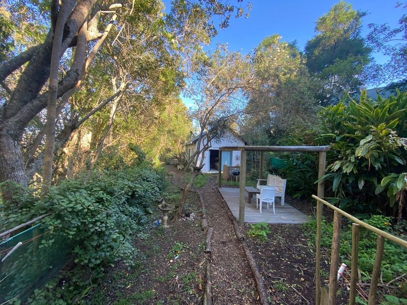 A natural, wooded garden area featuring a timber deck with a pergola, providing a rustic outdoor space.