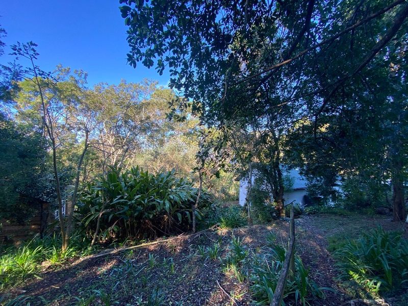 A lush, mature garden area featuring established trees and natural landscaping, providing a private and serene outdoor setting.