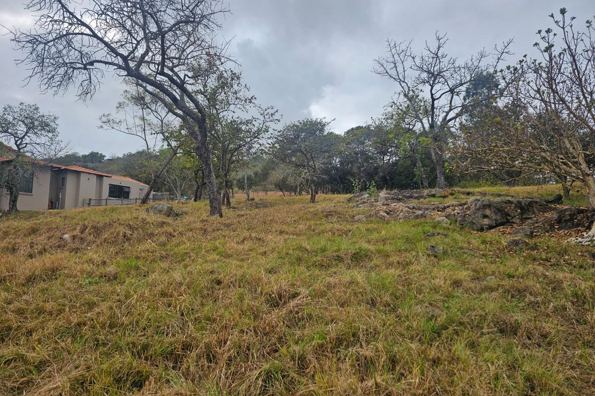 A view of the vacant residential land featuring natural grass, mature trees, and rock outcrops with a neighboring property visible in the background.