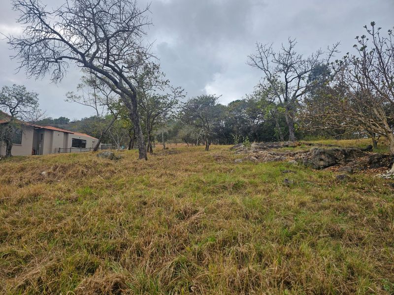 A view of the vacant residential land featuring natural grass, mature trees, and rock outcrops with a neighboring property visible in the background.