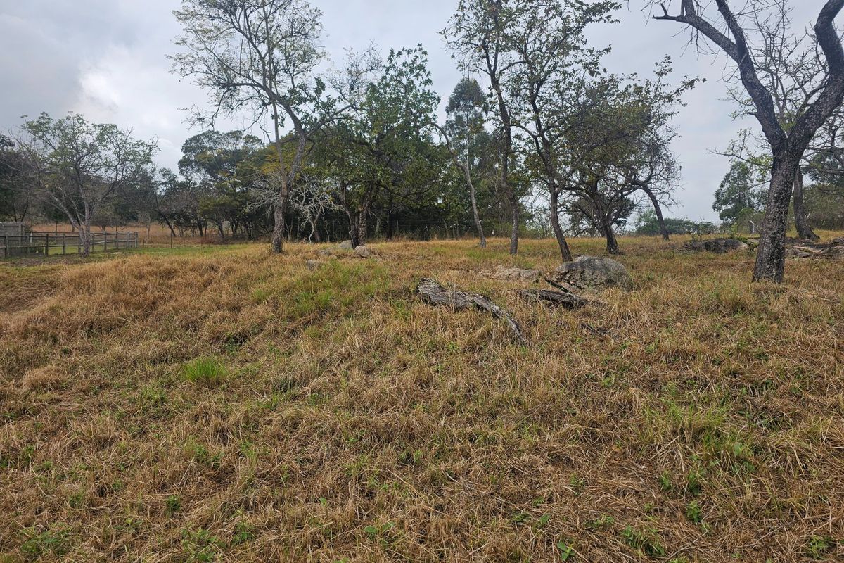 A view of a vacant residential plot featuring natural grass, mature trees, and rock formations, suitable for future development.