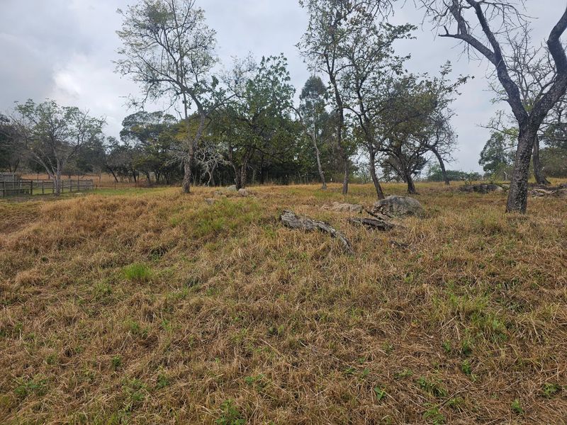 A view of a vacant residential plot featuring natural grass, mature trees, and rock formations, suitable for future development.