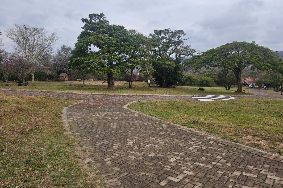 A view of a spacious residential garden featuring a paved driveway, mature trees, and well-maintained lawn areas.