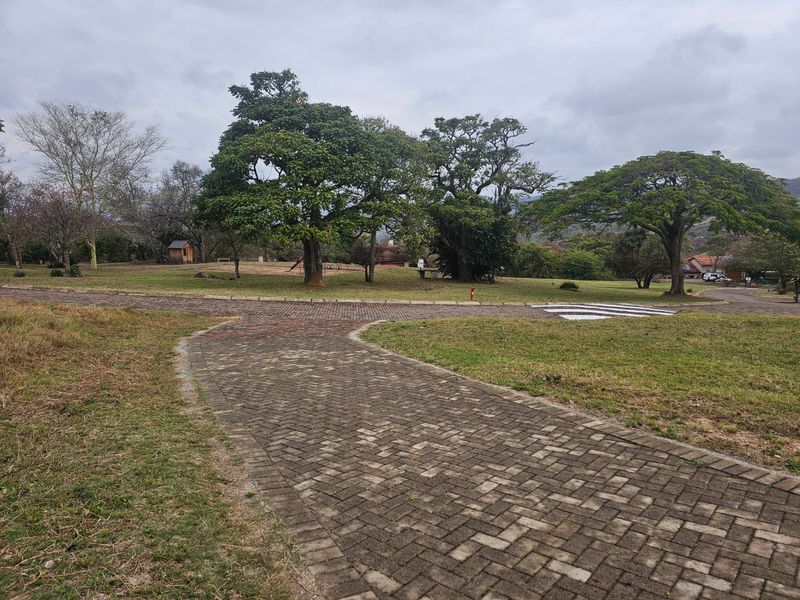 A view of a spacious residential garden featuring a paved driveway, mature trees, and well-maintained lawn areas.