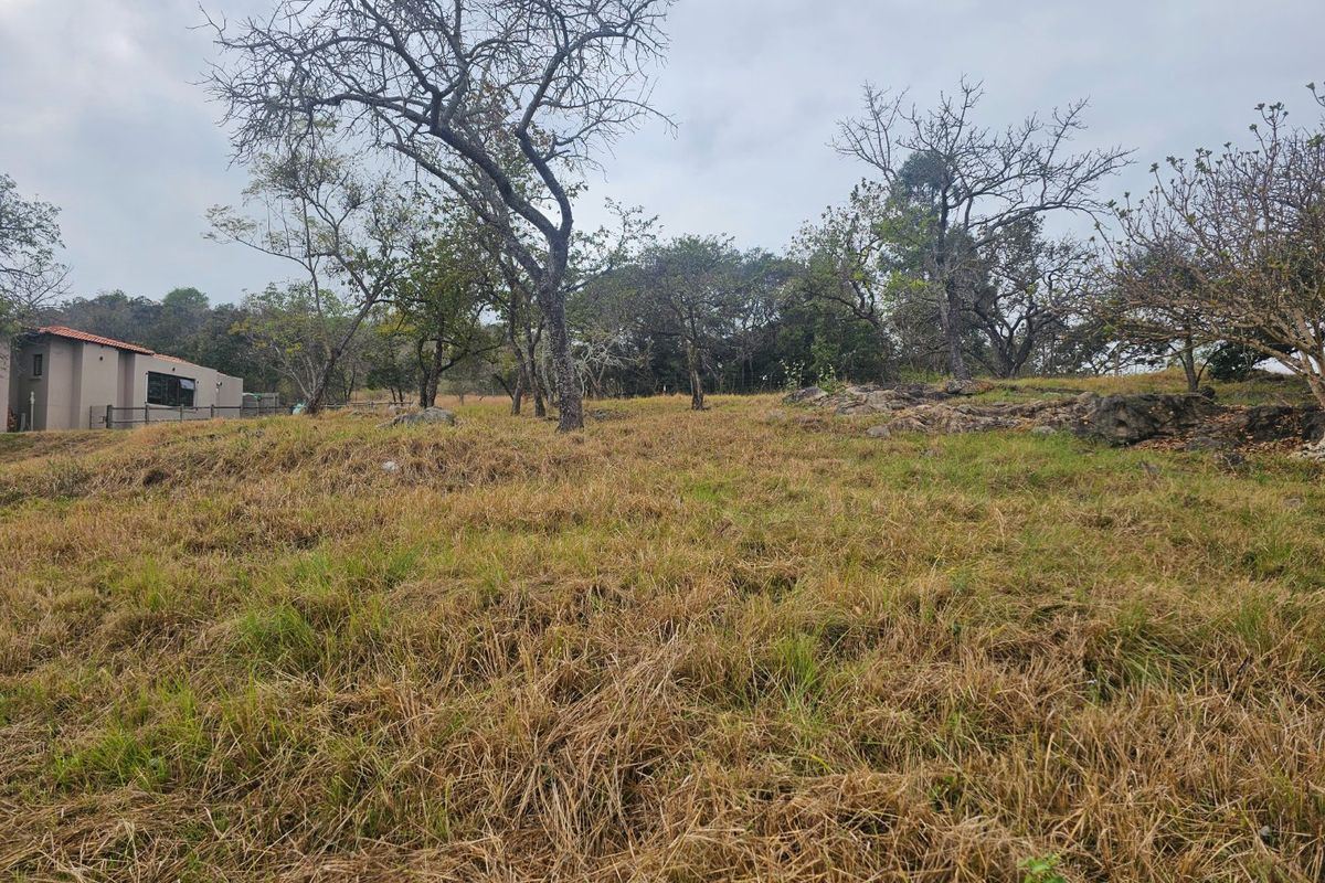 A view of a sloped residential plot featuring natural grass, mature trees, and rock formations with a neighboring structure visible in the background.