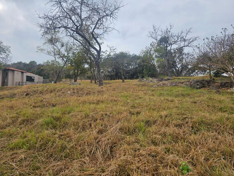 A view of a sloped residential plot featuring natural grass, mature trees, and rock formations with a neighboring structure visible in the background.