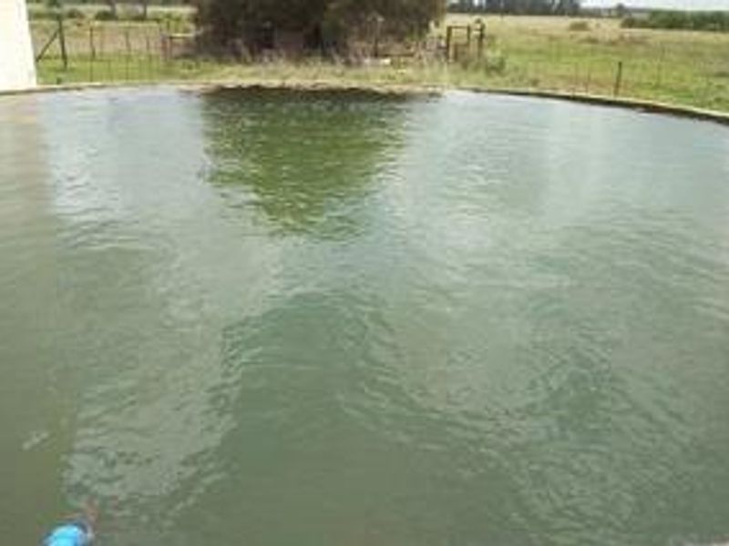 A circular farm water reservoir or dam showing signs of algae growth, situated in an open rural landscape.