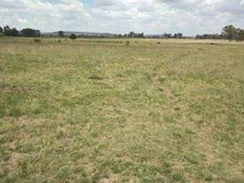 A wide-angle view of an expansive, open grassland pasture on the farm property.