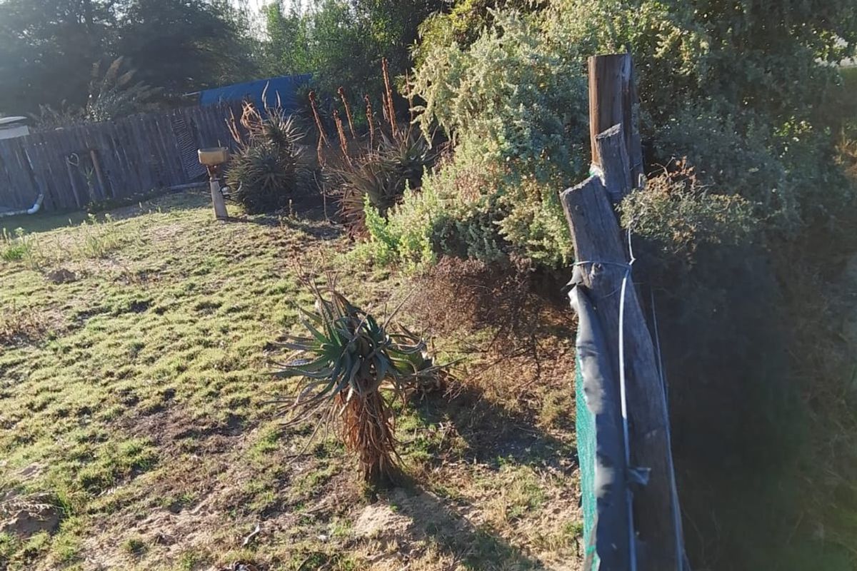 A view of a residential garden area featuring established trees, natural landscaping, and perimeter fencing with some visible wear.