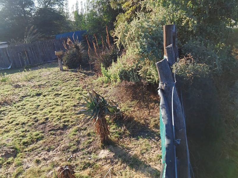 A view of a residential garden area featuring established trees, natural landscaping, and perimeter fencing with some visible wear.