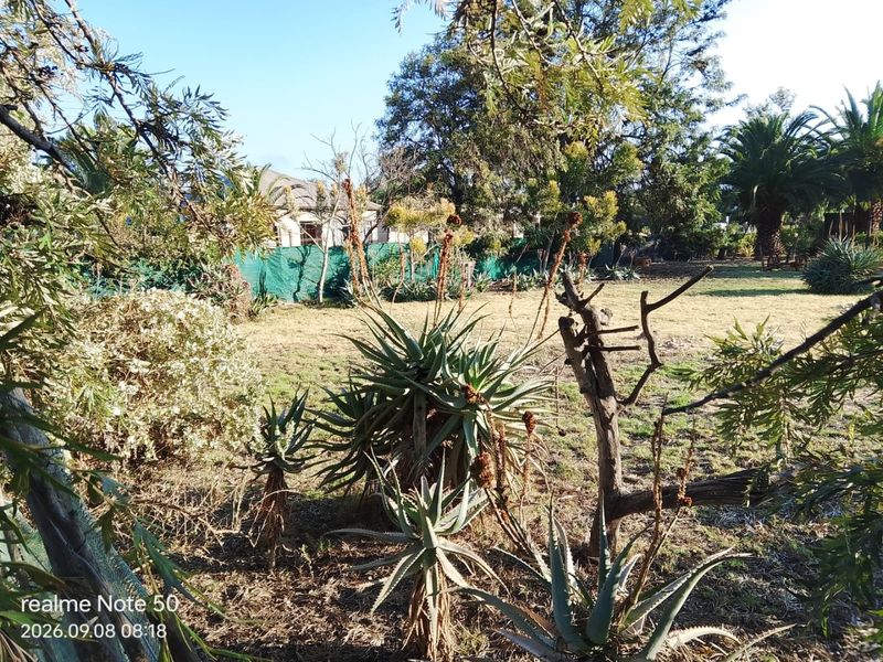 A view of a residential garden area featuring mature trees, various aloe plants, and perimeter fencing on a vacant residential plot.