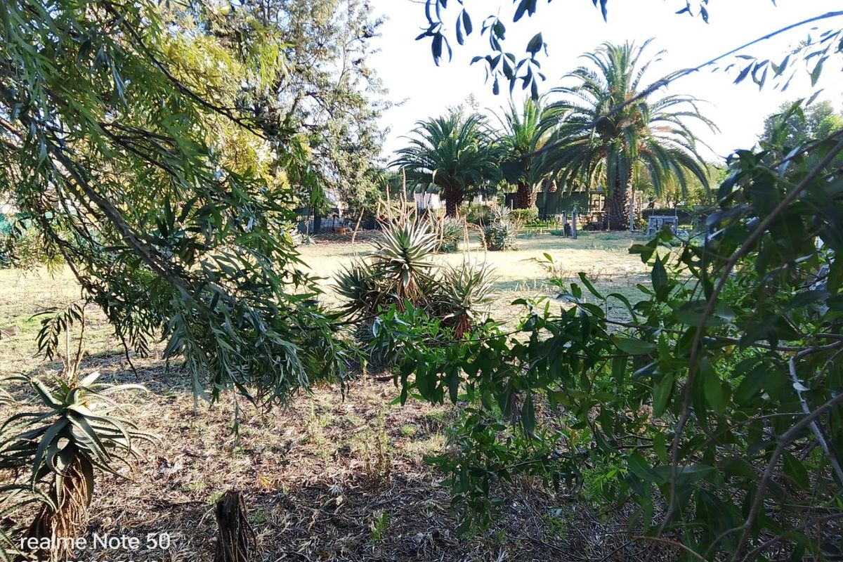 A view of a residential garden plot featuring established trees and mature landscaping, offering a natural setting for potential development.