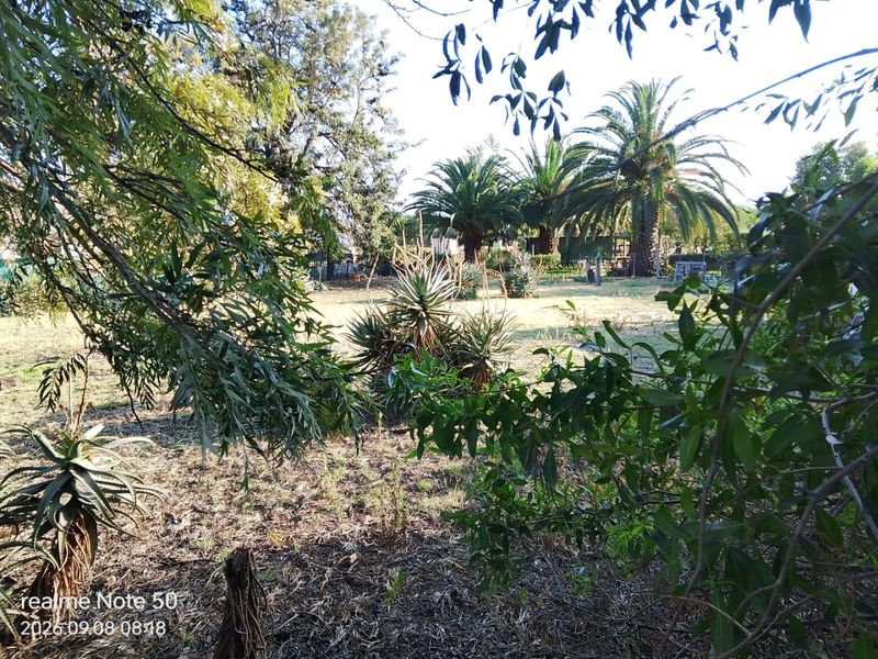 A view of a residential garden plot featuring established trees and mature landscaping, offering a natural setting for potential development.