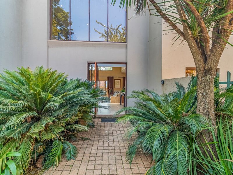 A welcoming front entrance featuring a paved walkway flanked by lush cycads, leading to a double-volume facade with large windows and a main entrance door.