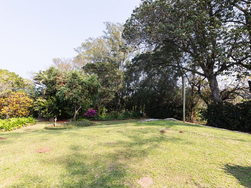 Spacious Smallholding With Sea Views, Character Home & Macadamia Orchard – Banners Rest - Photo 10