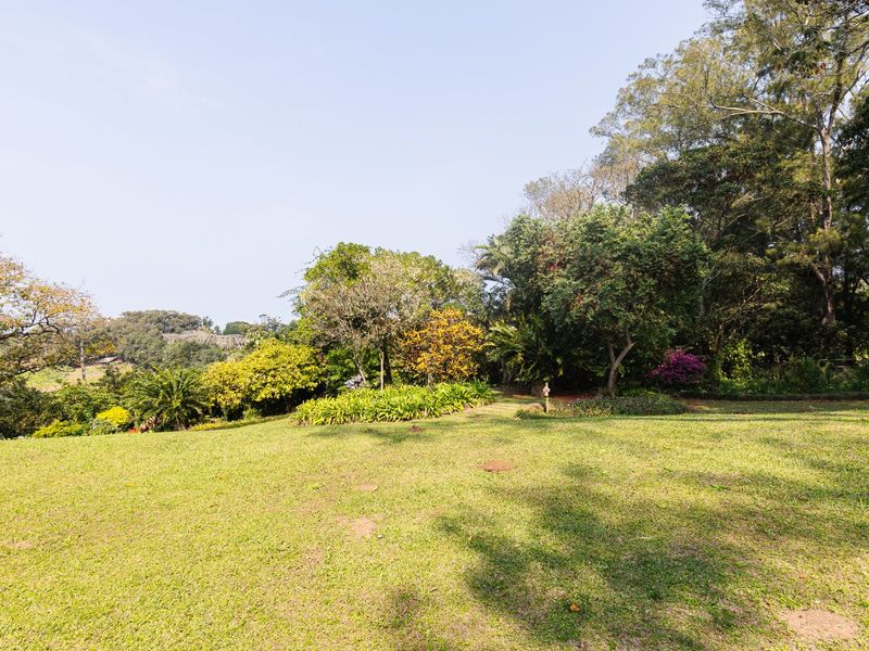 Spacious Smallholding With Sea Views, Character Home & Macadamia Orchard – Banners Rest - Photo 9