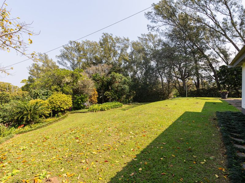 Spacious Smallholding With Sea Views, Character Home & Macadamia Orchard – Banners Rest - Photo 7