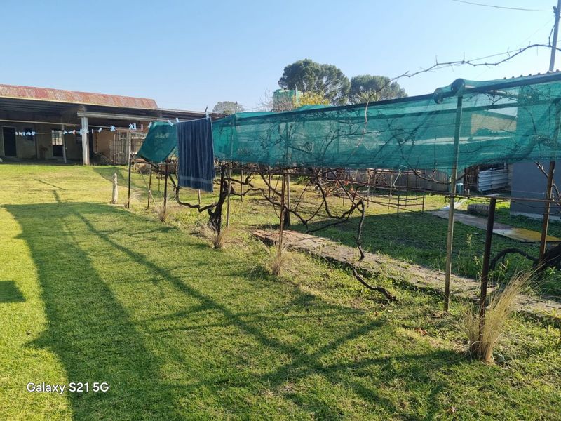 Spacious backyard garden featuring a large lawn area, established vine trellis with shade netting, and a detached outbuilding in the background.