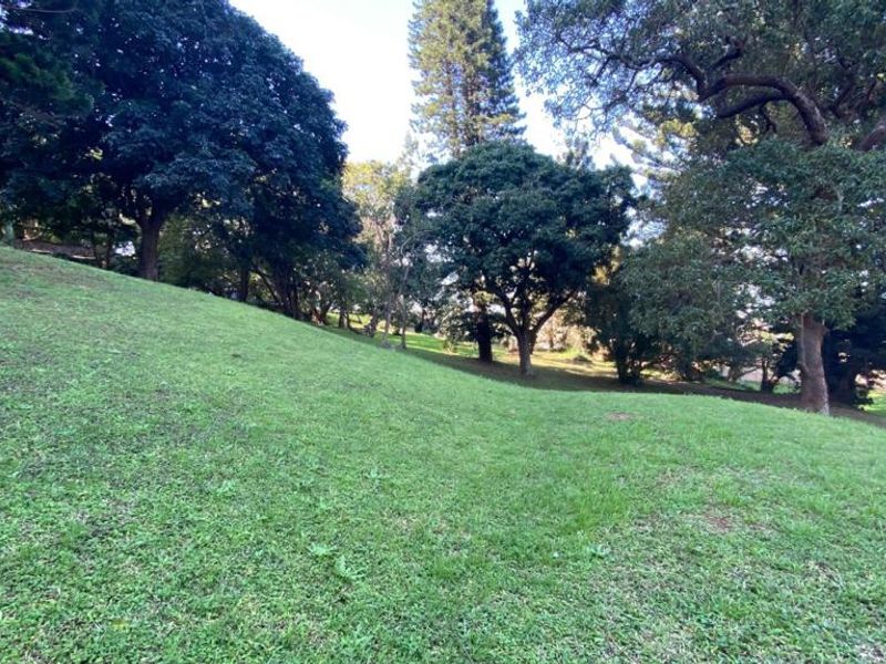 A spacious, sloped garden area featuring established mature trees and well-maintained grass, offering a peaceful outdoor setting.