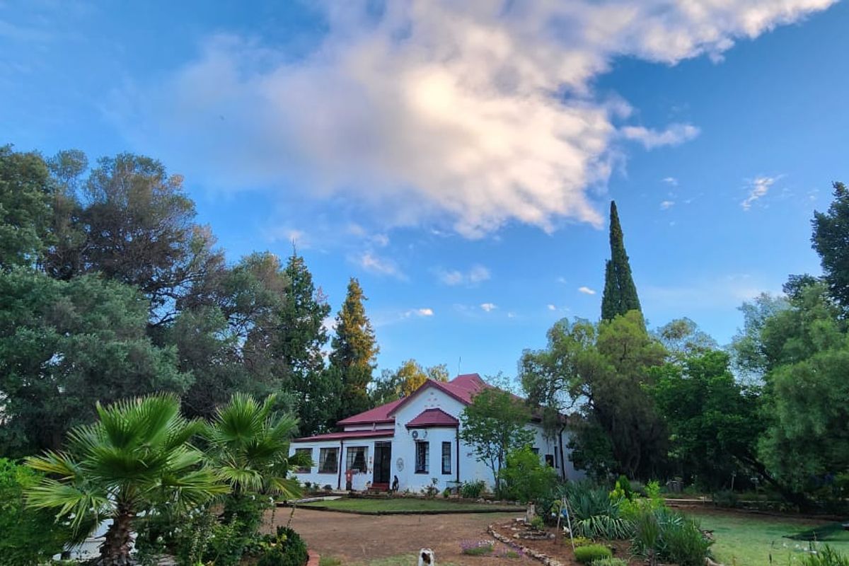 A charming residential property featuring a pitched metal roof, surrounded by a lush, mature garden and established trees.