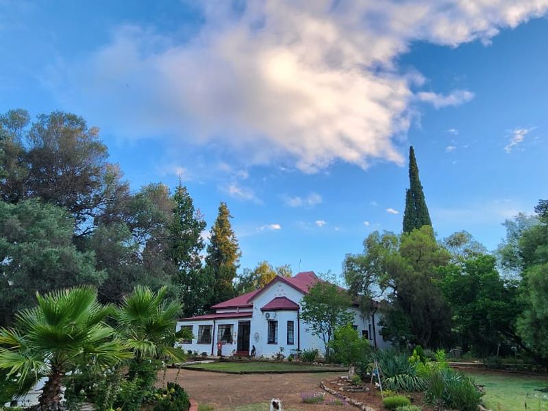 A charming residential property featuring a pitched metal roof, surrounded by a lush, mature garden and established trees.