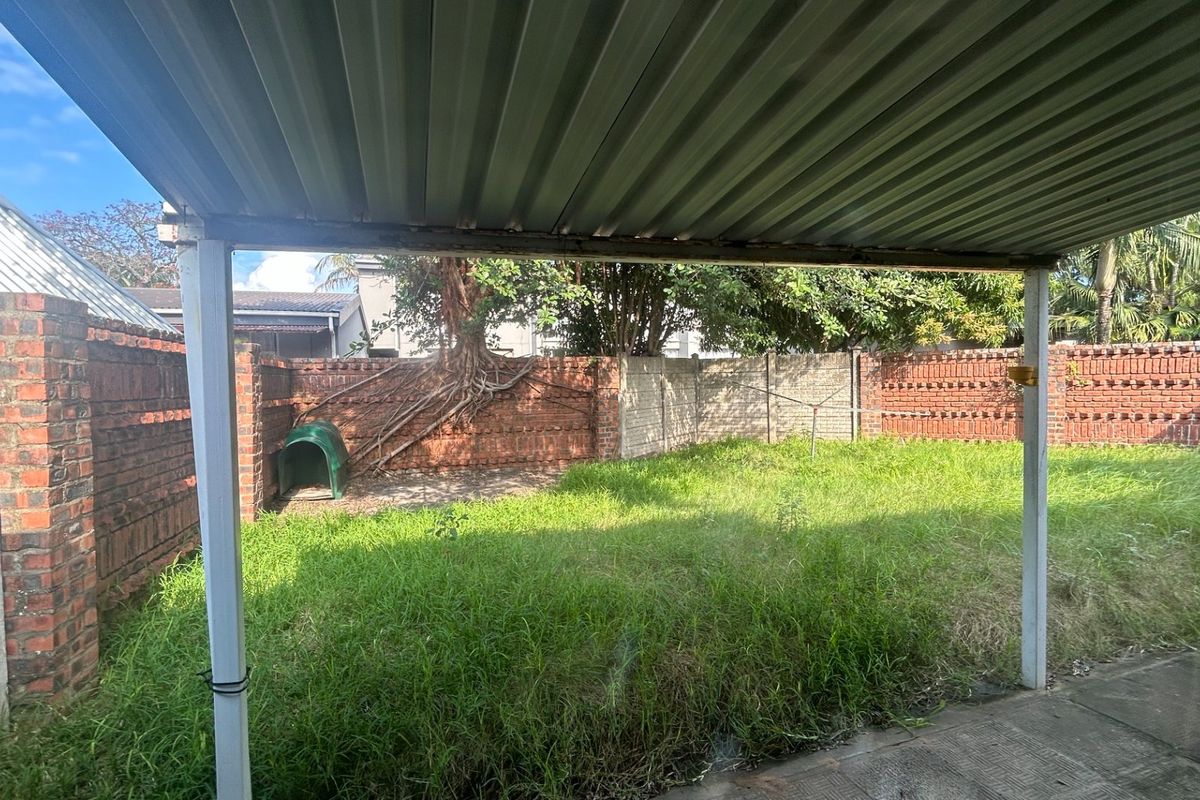 A rear outdoor area featuring a covered patio, brick boundary walls, and an overgrown lawn with visible tree root encroachment.