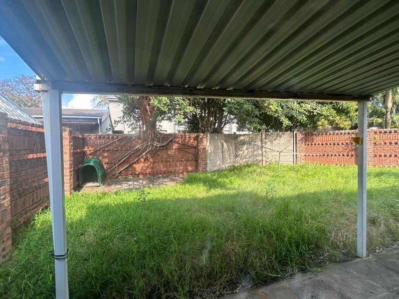 A rear outdoor area featuring a covered patio, brick boundary walls, and an overgrown lawn with visible tree root encroachment.