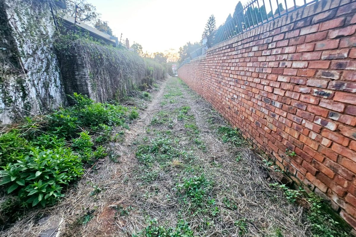 A narrow, unmaintained outdoor passage bordered by a tall brick boundary wall with security spikes and a retaining wall covered in vegetation.