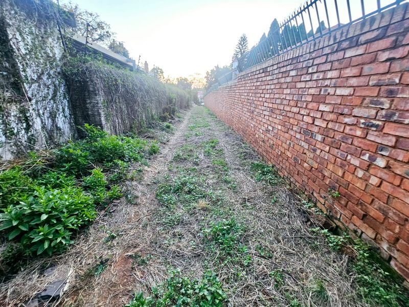 A narrow, unmaintained outdoor passage bordered by a tall brick boundary wall with security spikes and a retaining wall covered in vegetation.