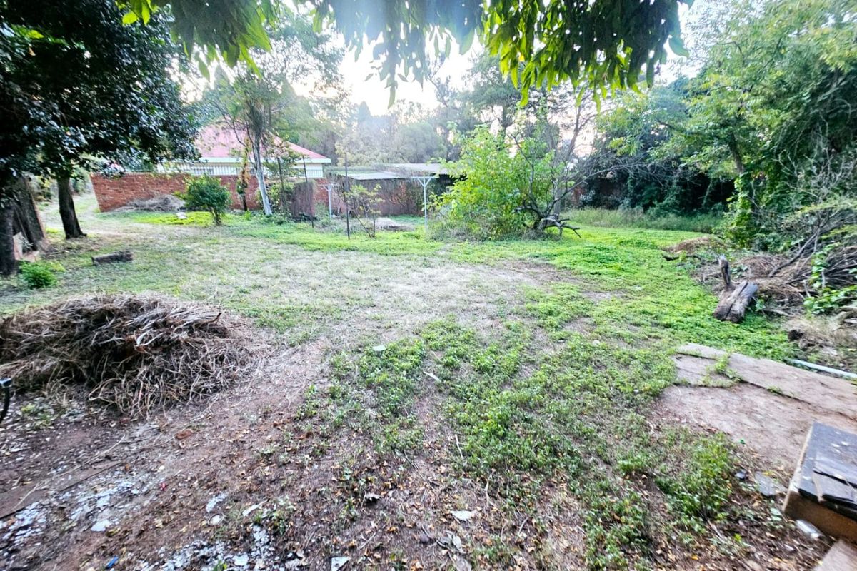 A spacious, overgrown residential garden area featuring mature trees and a brick boundary wall, offering potential for landscaping and development.
