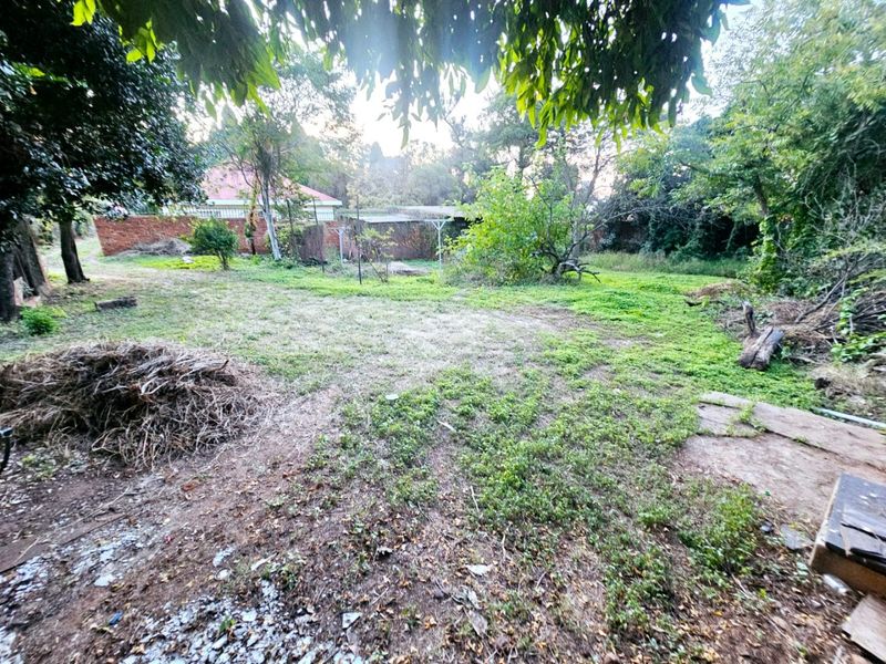 A spacious, overgrown residential garden area featuring mature trees and a brick boundary wall, offering potential for landscaping and development.