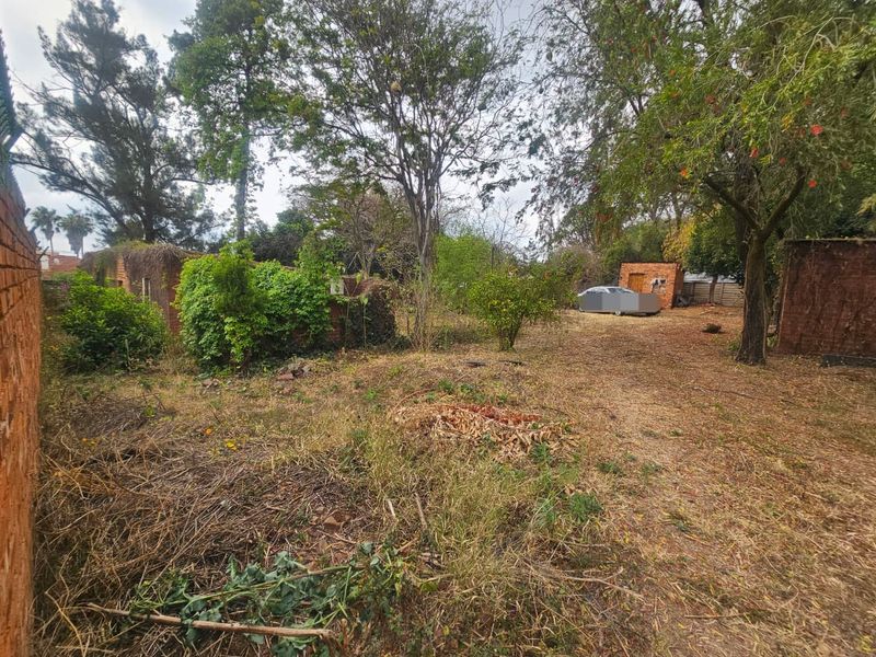 A large, overgrown residential garden plot featuring mature trees, a brick boundary wall, and an existing outbuilding structure.