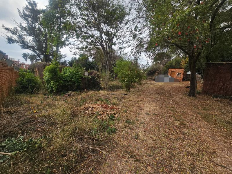 A large, overgrown residential plot featuring mature trees, a brick boundary wall, and an existing outbuilding structure.