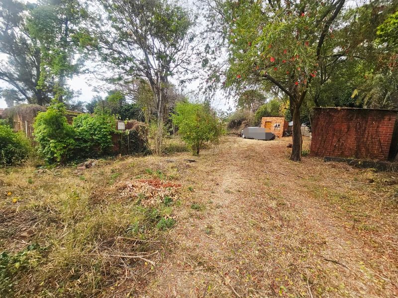 A large, overgrown residential plot featuring mature trees and an existing brick outbuilding structure.