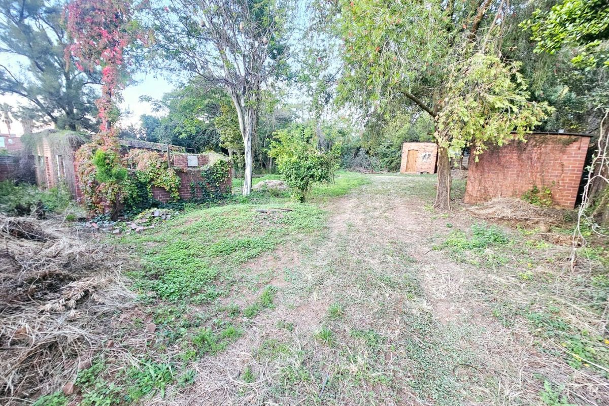 A large residential plot featuring mature trees, overgrown vegetation, and existing brick outbuildings in need of significant maintenance or removal.