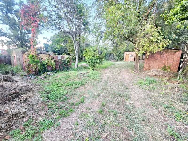 A large residential plot featuring mature trees, overgrown vegetation, and existing brick outbuildings in need of significant maintenance or removal.
