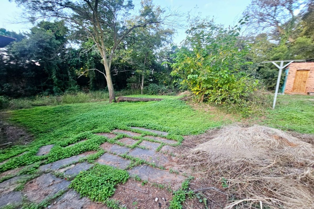 A large, overgrown residential plot featuring mature trees, existing paving, and a small brick outbuilding, offering significant potential for landscaping and development.