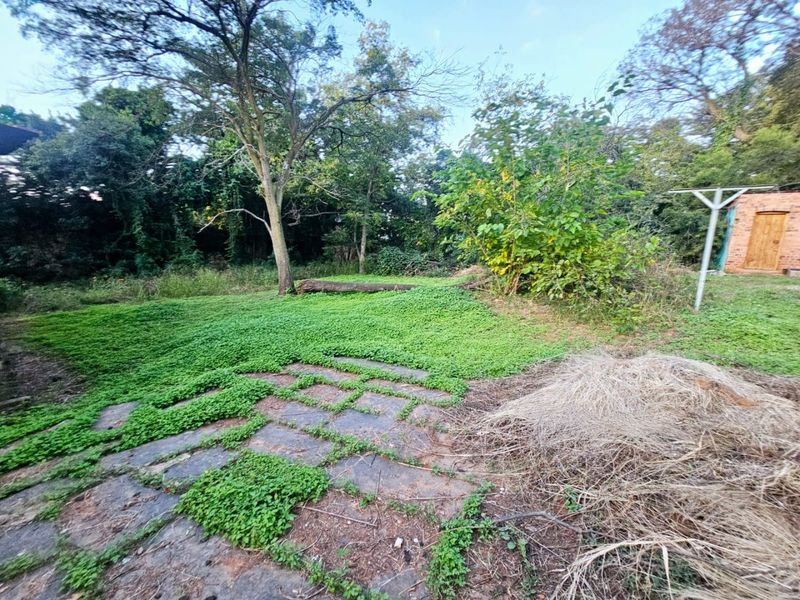 A large, overgrown residential plot featuring mature trees, existing paving, and a small brick outbuilding, offering significant potential for landscaping and development.