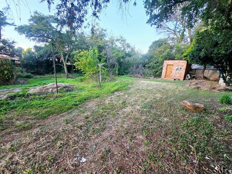 A spacious, overgrown residential garden featuring mature trees, a small brick outbuilding, and perimeter walling, offering potential for landscaping and development.