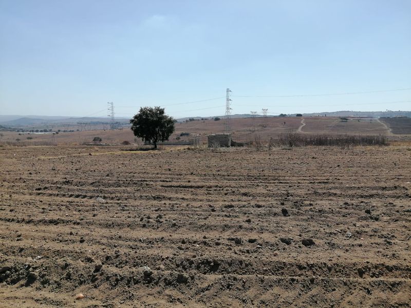 A wide, open plot of vacant residential land featuring natural terrain, a single tree, and visible overhead power lines.