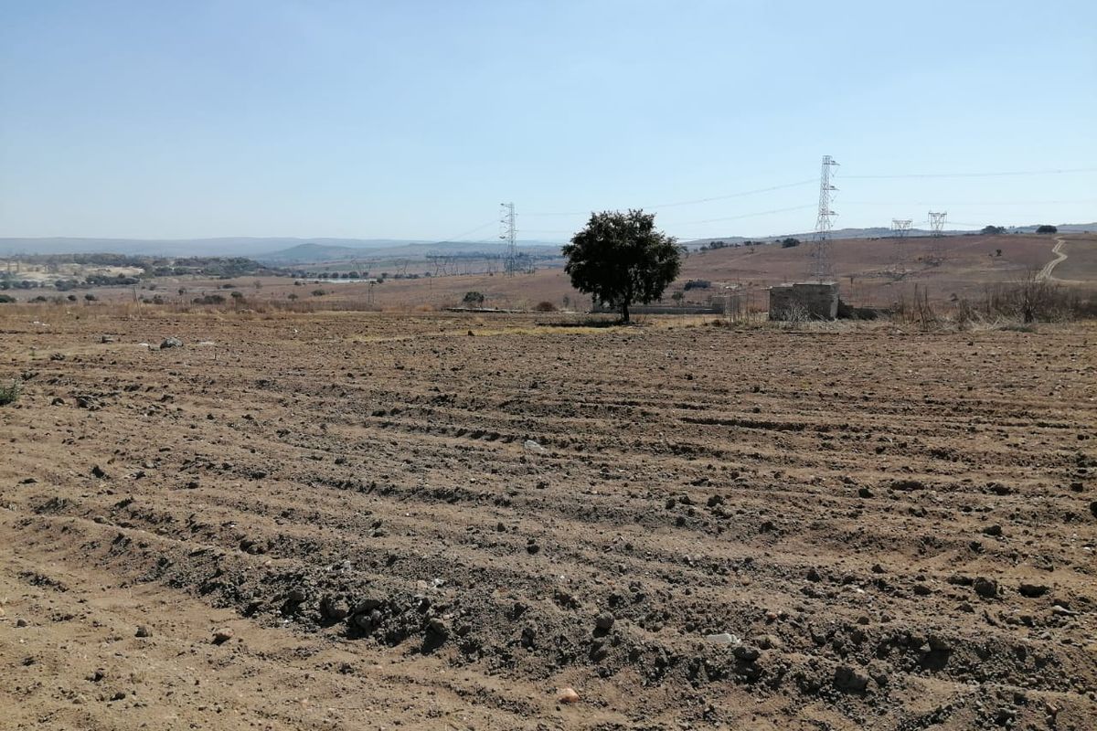 A wide, open plot of vacant residential land featuring natural terrain, a single tree, and distant power line infrastructure.