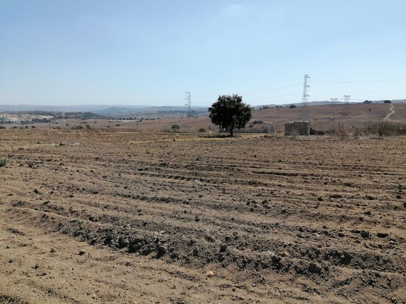 A wide, open plot of vacant residential land featuring natural terrain, a single tree, and distant power line infrastructure.