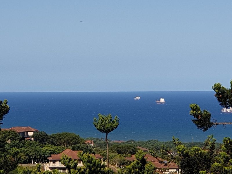 A scenic elevated view overlooking the ocean with ships visible on the horizon and surrounding coastal greenery.