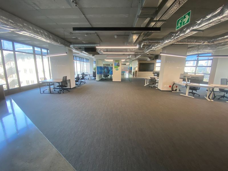 Modern open-plan office space featuring exposed industrial ceilings, large windows providing ample natural light, and high-quality carpet flooring.