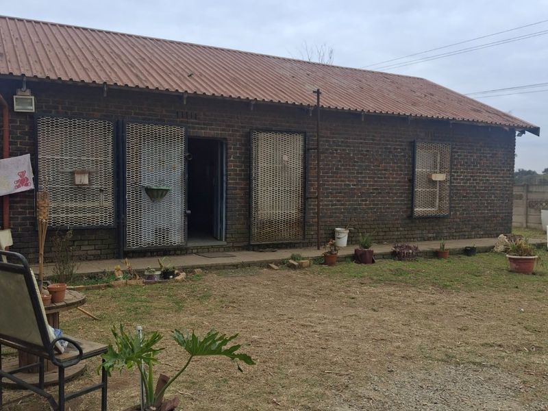 Rear view of a commercial face brick building featuring a corrugated metal roof and security mesh window coverings.