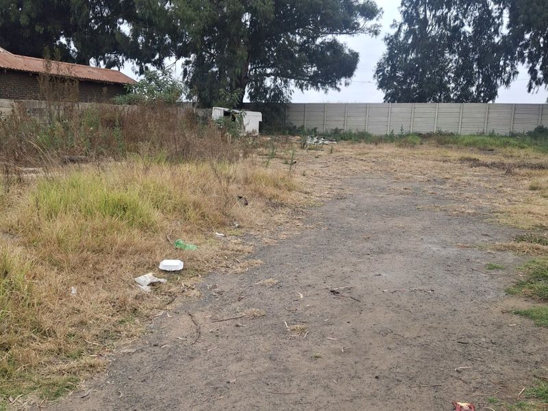 An undeveloped rear outdoor area featuring an unpaved ground surface, mature trees, and a precast concrete boundary wall.