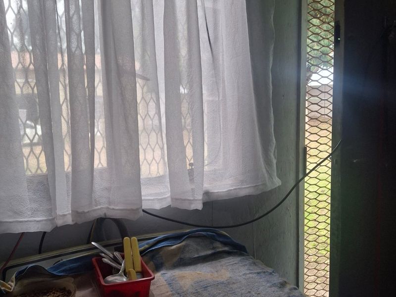 A utility or laundry area featuring a window with security mesh and an external security door, requiring maintenance and cosmetic updates.